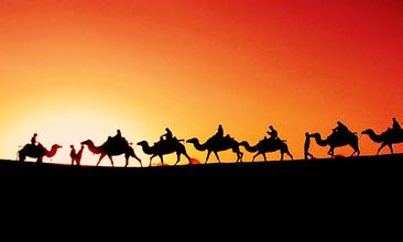 �P(gu��n)����Ո���^2016�z�I֮·����a(ch��n)�I(y��)�l(f��)չ�߷�Փ����չ�[���ĺ�