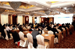 ��CNESA��Ո����2018�Ї���������Փ��