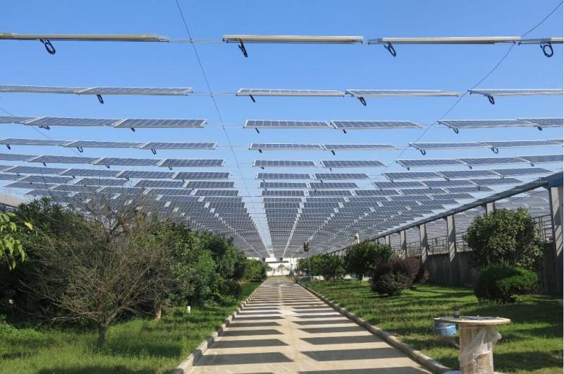 �w���t�����`���ɲ��ܑ�(zh��n)������