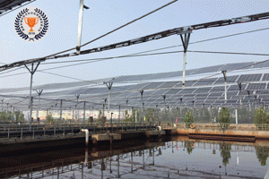 �����坍��Դ�������м��\ˮ�|(zh��)�����S�ֲ�ʽ����l(f��)�վ���������BAPV..