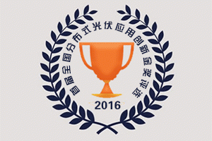 ��2016�׌�ȫ��(gu��)�ֲ�ʽ�����(y��ng)�Ä�(chu��ng)�½�(ji��ng)���u(p��ng)�xͶƱ����12��6�Ն���(d��ng)