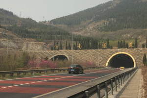 �������������·�Ͻ����˷ֲ�ʽ