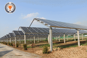 ����������կ�ֲ�ʽ����վ