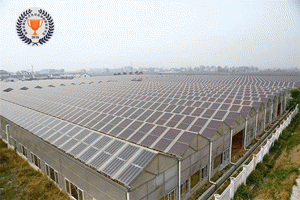 Ԭ���(zh��n)�L(zh��ng)�[��5MWp�r(n��ng)�⻥�a(b��)���BAPV���g(sh��)