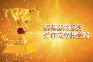 ��ѹ��������ֲ�ʽ�����(ji��ng)