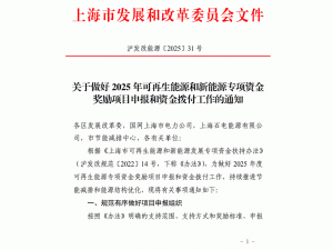 �Ϻ�����2025���������Դ������Դ���(xi��ng)�Y�𪄄�(l��)�(xi��ng)Ŀ���(b��o)���Y��ܸ�����