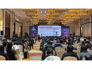 �����A������ИI(y��)2024�l(f��)չ����c2025�΄�չ��