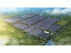 ���������ӑc�^(q��)�ֲ�ʽ����l(f��)��Ŀ���O(sh��)��������ָ�������_������Ҋ