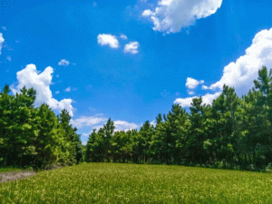 ��ý����?z��)�׌���၆�?sh��)�F(xi��n)���Ó̼