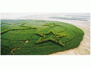 �����۰Ŀ羳�Gɫ����C�������_��