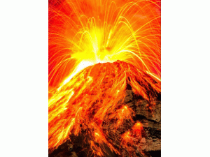 ��ý����ɽ����ṩ�o(w��)���坍��Դ