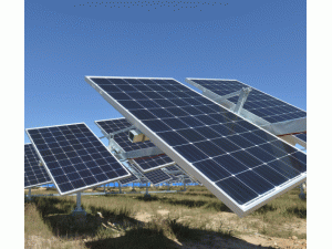 �C������������M����ϴЧ��