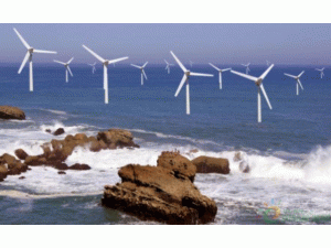 ȫ���ׂ�(g��)�������L(f��ng)��(xi��ng)Ŀ�@��