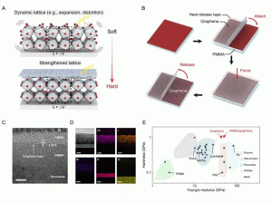 Science�l(f��)���A�����ЈF��ڹ���I�������о��ɹ�