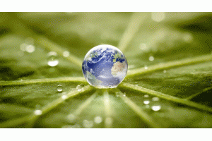 �P(gu��n)ע| һ���ȶ�س��_(t��i)���ܰl(f��)չ����