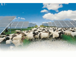 �����Ļ������΅^(q��)��������Դ������{���ό�ʩ������ӡ�l(f��)��ʩ