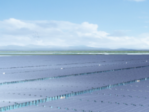 �㽭2025���p̼������Ҫ�c��������������Դ10GW����