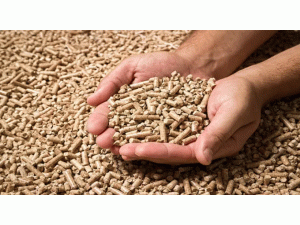 �@�N��׌�W�ޡ����¡����_˹�๩��Ȼ���ȼ�ϣ��ܳ��^(gu��)�L(f��ng)늺�̫�(y��ng)�ܰl(f��)���