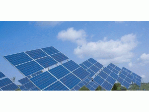 ���ӭ��(l��i)������������L(zh��ng)������TCL��ȥ�Ώ�