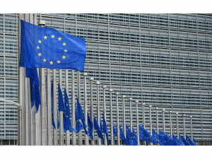 �P(gu��n)ע| �W���Ї��̕����W���������������(zh��n)�Ըߵ�