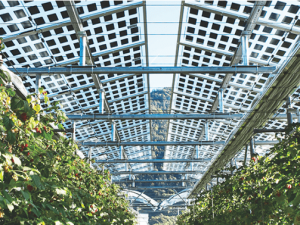 ��̽���l(f��)չ�r(n��ng)�I(y��)���