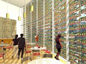 �쌎��ՄBIPV��2��